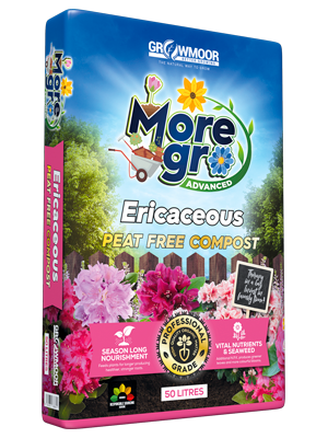 Moregro Ericaceous Compost