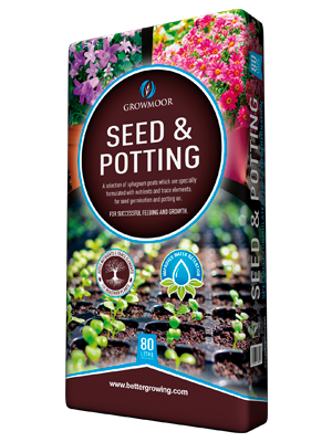 Seed & Potting Compost
